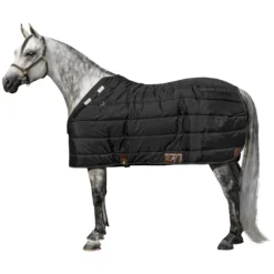Adjusta-Fit Dura-Nylon Cutback Westcoast Leg Strap Horse Stable Blanket - Medium Weight -Schneiders Shop 10485 black