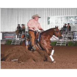 Adjusta-Fit Dura-Nylon Cutback Westcoast Leg Strap Horse Stable Blanket - Medium Weight -Schneiders Shop 10485 prof a