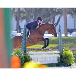 Adjusta-Fit Dura-Nylon V-Free Guardian Bellyband Horse Stable Blanket - Midweight -Schneiders Shop 13157 prof c