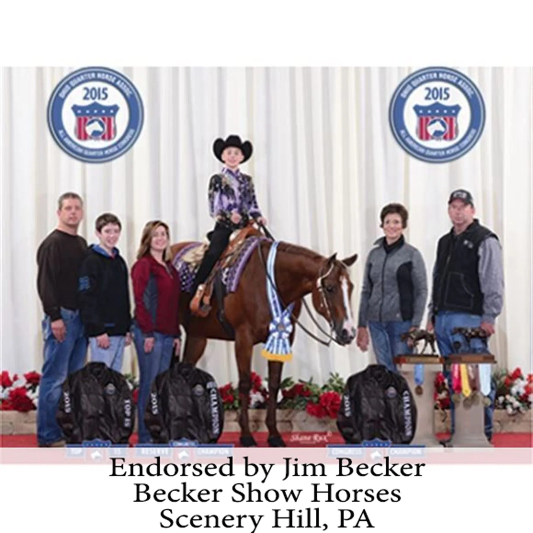 Adjusta-Fit SuperQuilt Cutback Bellyband Horse Stable Blanket - Extra Heavyweight 11 Adjusta-Fit SuperQuilt Cutback Bellyband Horse Stable Blanket - Extra Heavyweight - Image 11