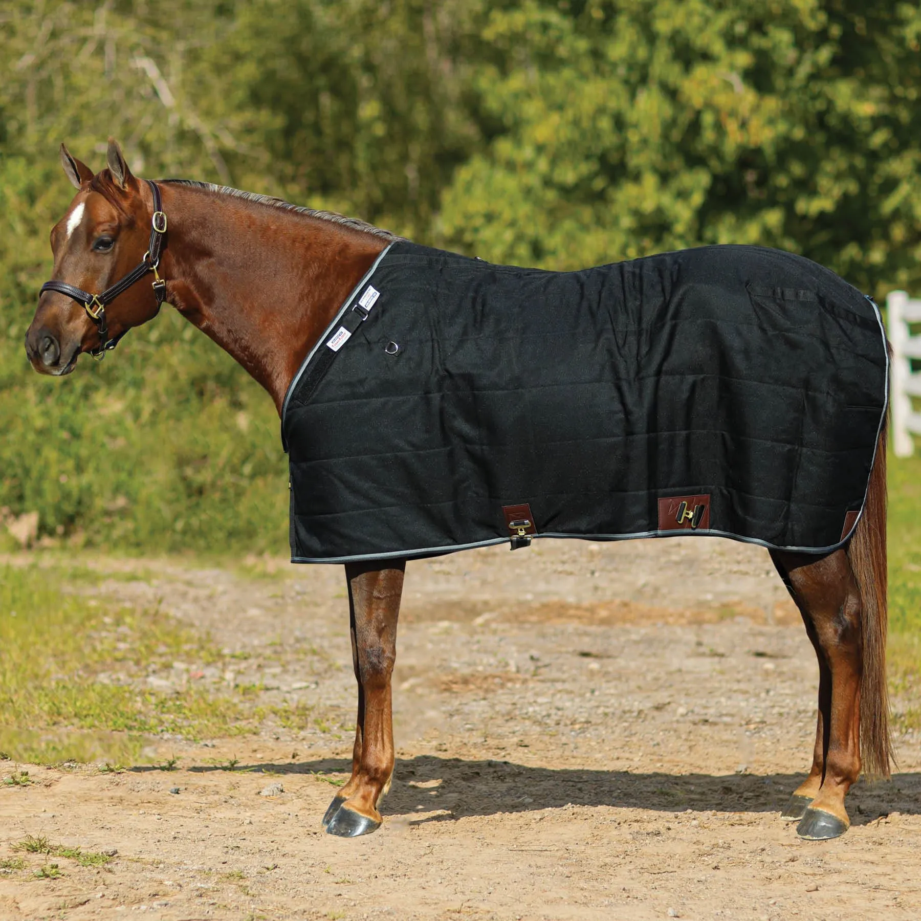 Adjusta-Fit Tekno-Fleece V-Free Leg Strap Horse Stable Blanket - Lightweight 2 Adjusta-Fit Tekno-Fleece V-Free Leg Strap Horse Stable Blanket - Lightweight - Image 2