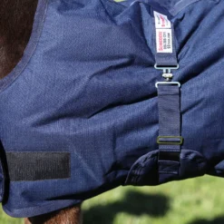StormShield® Euro Bellyband 220g Medium Weight Foal Turnout Blankets -Schneiders Shop 16000c alt d