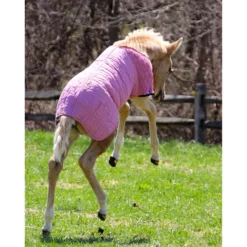 UltraFlex® Foal Saver® Lightweight Blanket -Schneiders Shop 16012c alt c