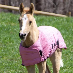 UltraFlex® Foal Saver® Lightweight Blanket -Schneiders Shop 16012c pink
