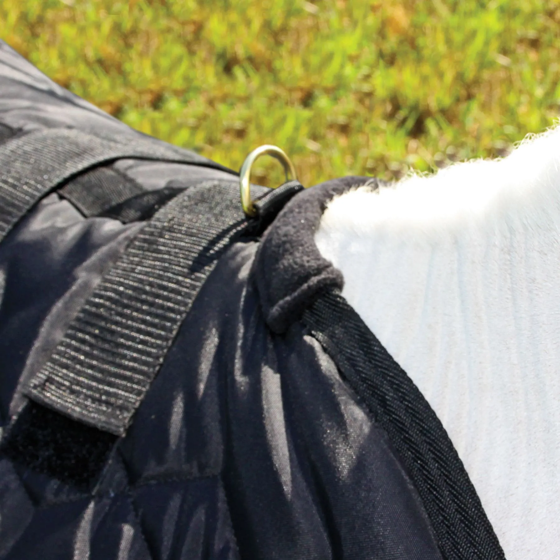 Adjusta-Fit Dura-Nylon Open Front Miniature Horse Stable Blanket 10 Adjusta-Fit Dura-Nylon Open Front Miniature Horse Stable Blanket - Image 10