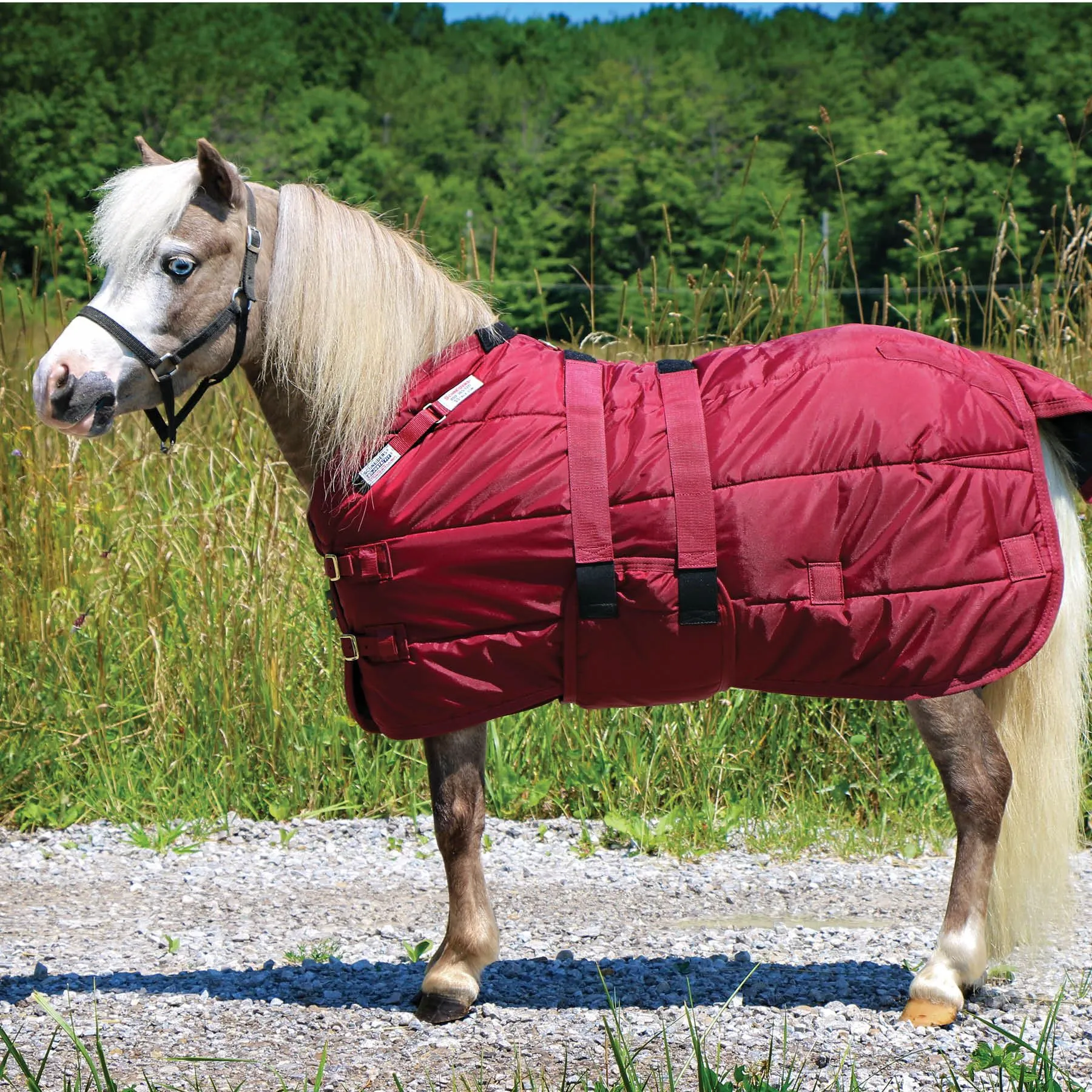 Adjusta-Fit Dura-Nylon Open Front Miniature Horse Stable Blanket 2 Adjusta-Fit Dura-Nylon Open Front Miniature Horse Stable Blanket - Image 2