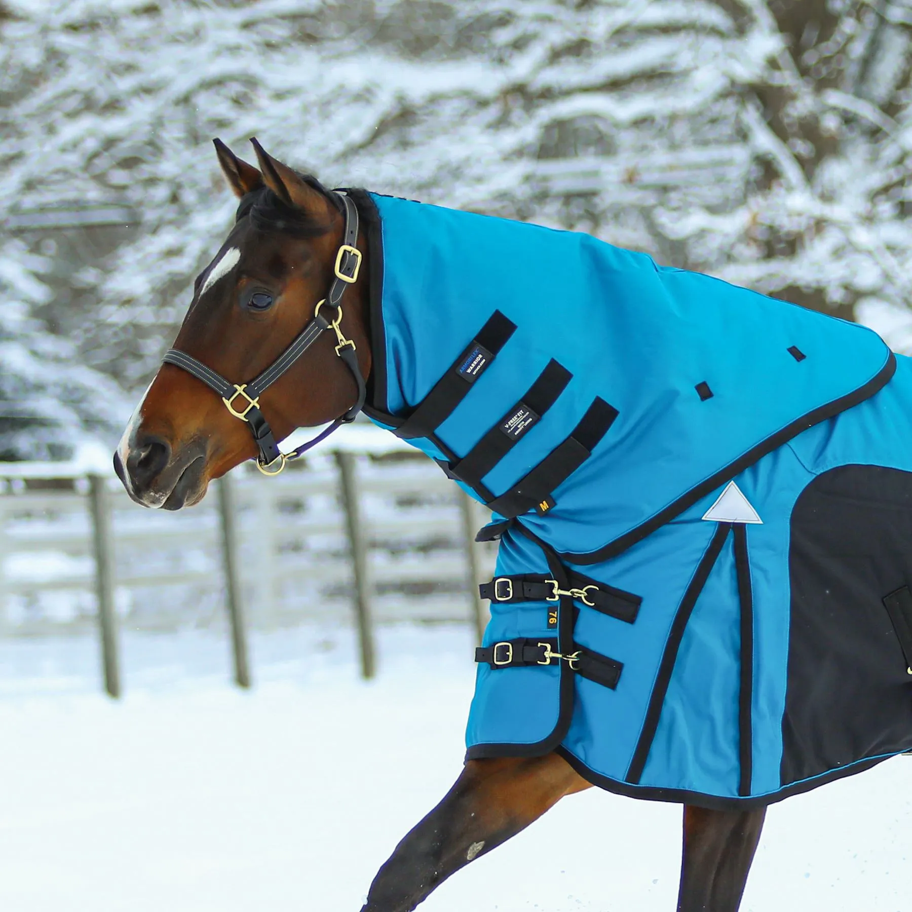 ARMORFlex® Warrior V-Free® Wither Relief 220g Medium Weight Turnout Blanket Neck Cover 2 ARMORFlex® Warrior V-Free® Wither Relief 220g Medium Weight Turnout Blanket Neck Cover - Image 2