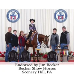 Adjusta-Fit Tekno-Quilt V-Free Bellyband Horse Stable Blanket - Heavyweight -Schneiders Shop 35317 prof a overlay