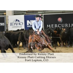 Adjusta-Fit Tekno-Quilt V-Free Bellyband Horse Stable Blanket - Heavyweight -Schneiders Shop 35317 prof b overlay