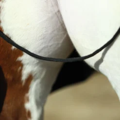 Dura-Tech® Polar Fleece Contour Cooler -Schneiders Shop 38596 alt g