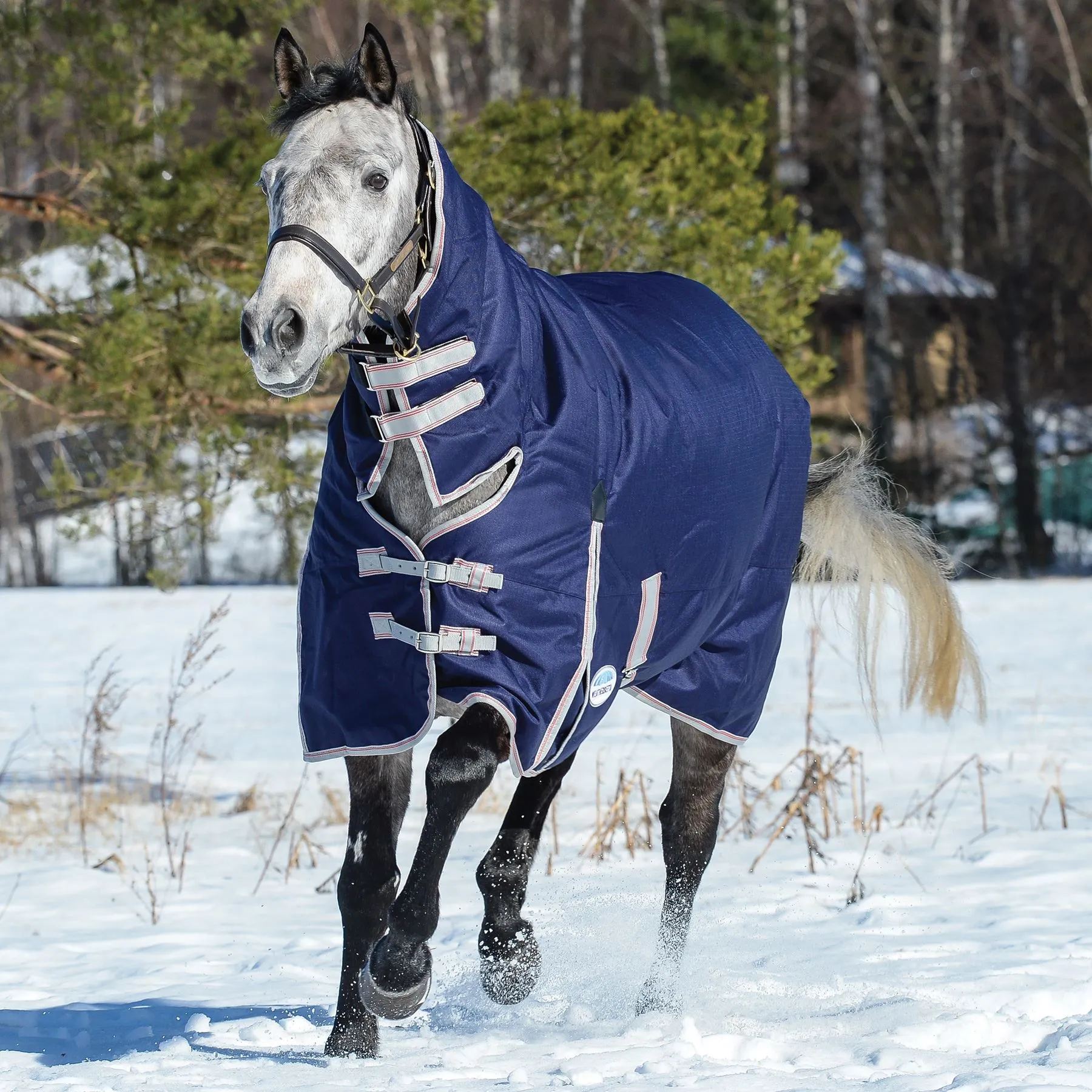 Weatherbeeta® ComFiTec® Essential Combo Neck Medium Weight Turnout Blanket 2 Weatherbeeta® ComFiTec® Essential Combo Neck Medium Weight Turnout Blanket - Image 2