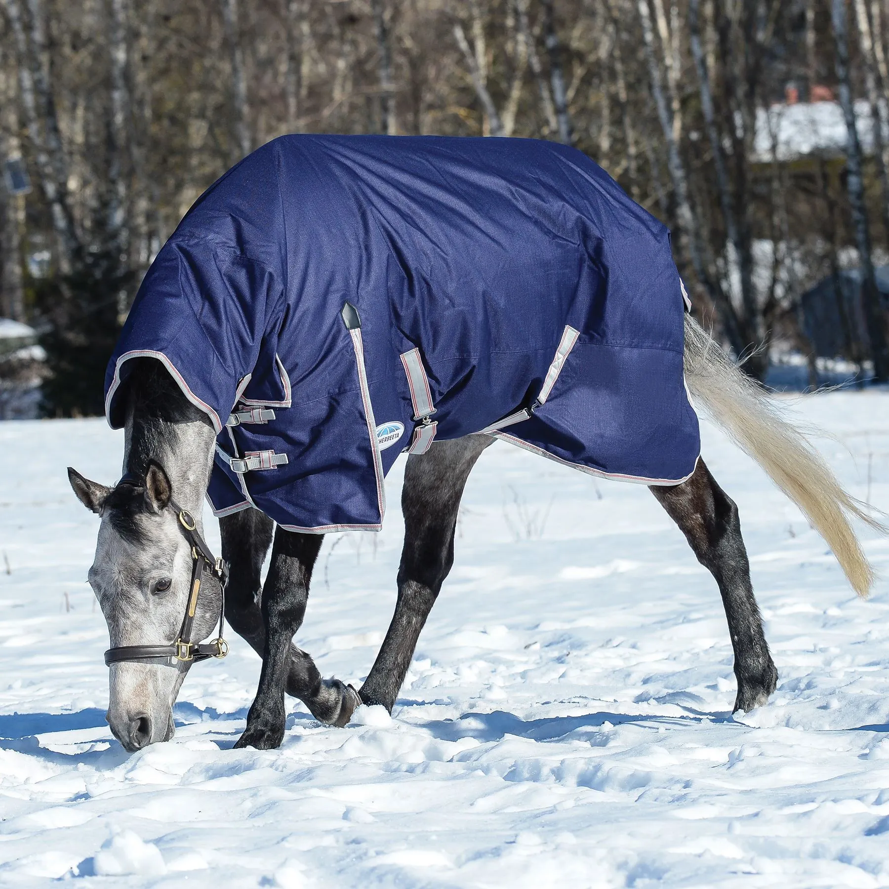 Weatherbeeta® ComFiTec® Essential Combo Neck Medium Weight Turnout Blanket 3 Weatherbeeta® ComFiTec® Essential Combo Neck Medium Weight Turnout Blanket - Image 3