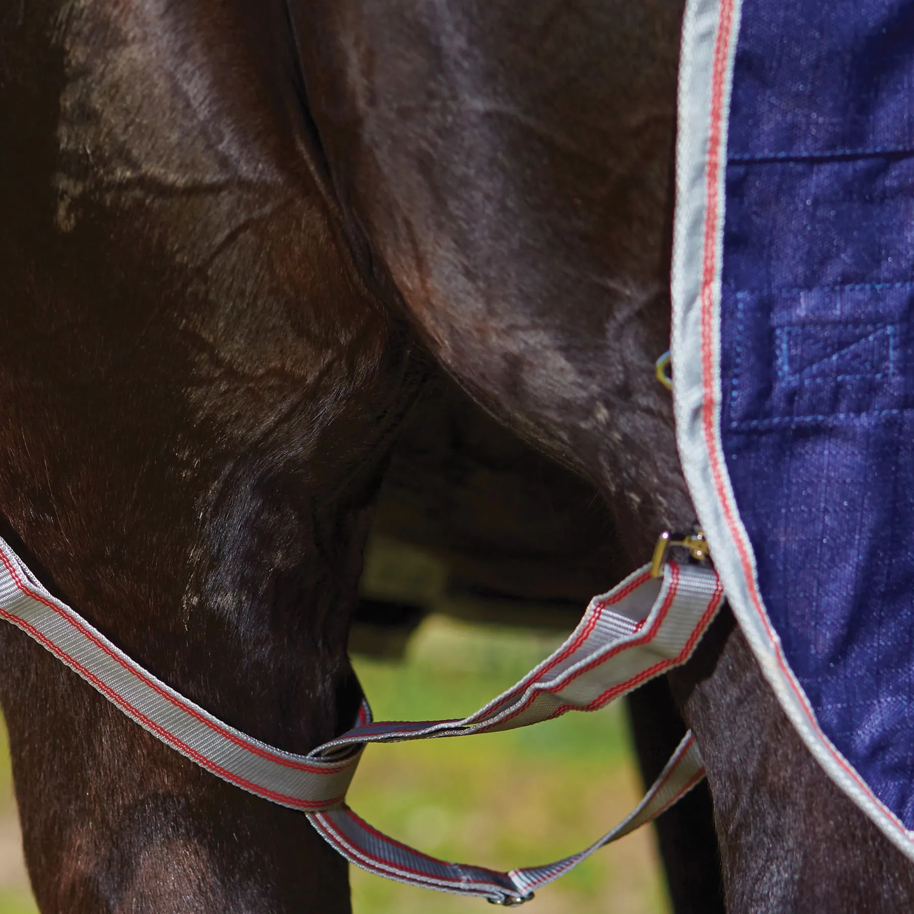 Weatherbeeta® ComFiTec® Essential Combo Neck Medium Weight Turnout Blanket 9 Weatherbeeta® ComFiTec® Essential Combo Neck Medium Weight Turnout Blanket - Image 9