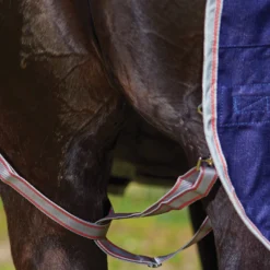 WeatherBeeta® ComFiTec® Essential Standard Neck Medium Weight Turnout Blanket -Schneiders Shop 38873 alt b