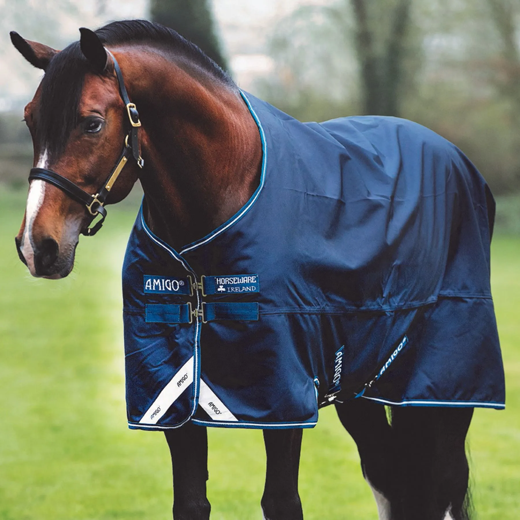 Horseware® Amigo® Bravo 12 Original Heavyweight Turnout Blanket 1 Horseware® Amigo® Bravo 12 Original Heavyweight Turnout Blanket