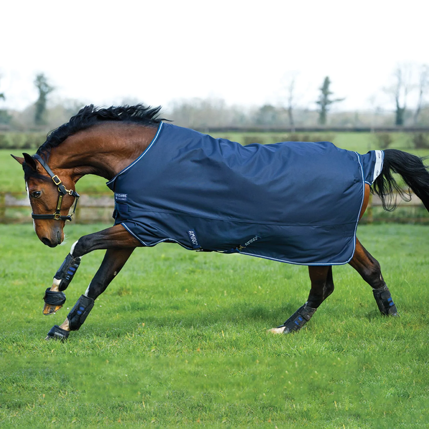 Horseware® Amigo® Bravo 12 Original Heavyweight Turnout Blanket 2 Horseware® Amigo® Bravo 12 Original Heavyweight Turnout Blanket - Image 2