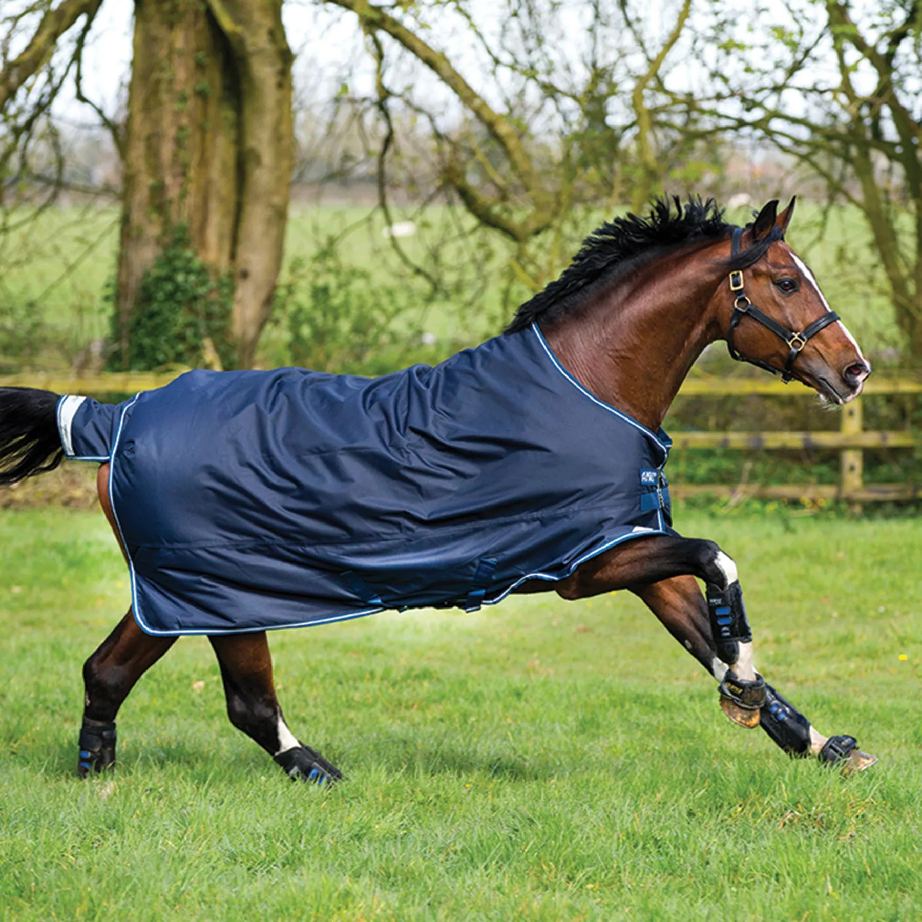 Horseware® Amigo® Bravo 12 Original Heavyweight Turnout Blanket 3 Horseware® Amigo® Bravo 12 Original Heavyweight Turnout Blanket - Image 3