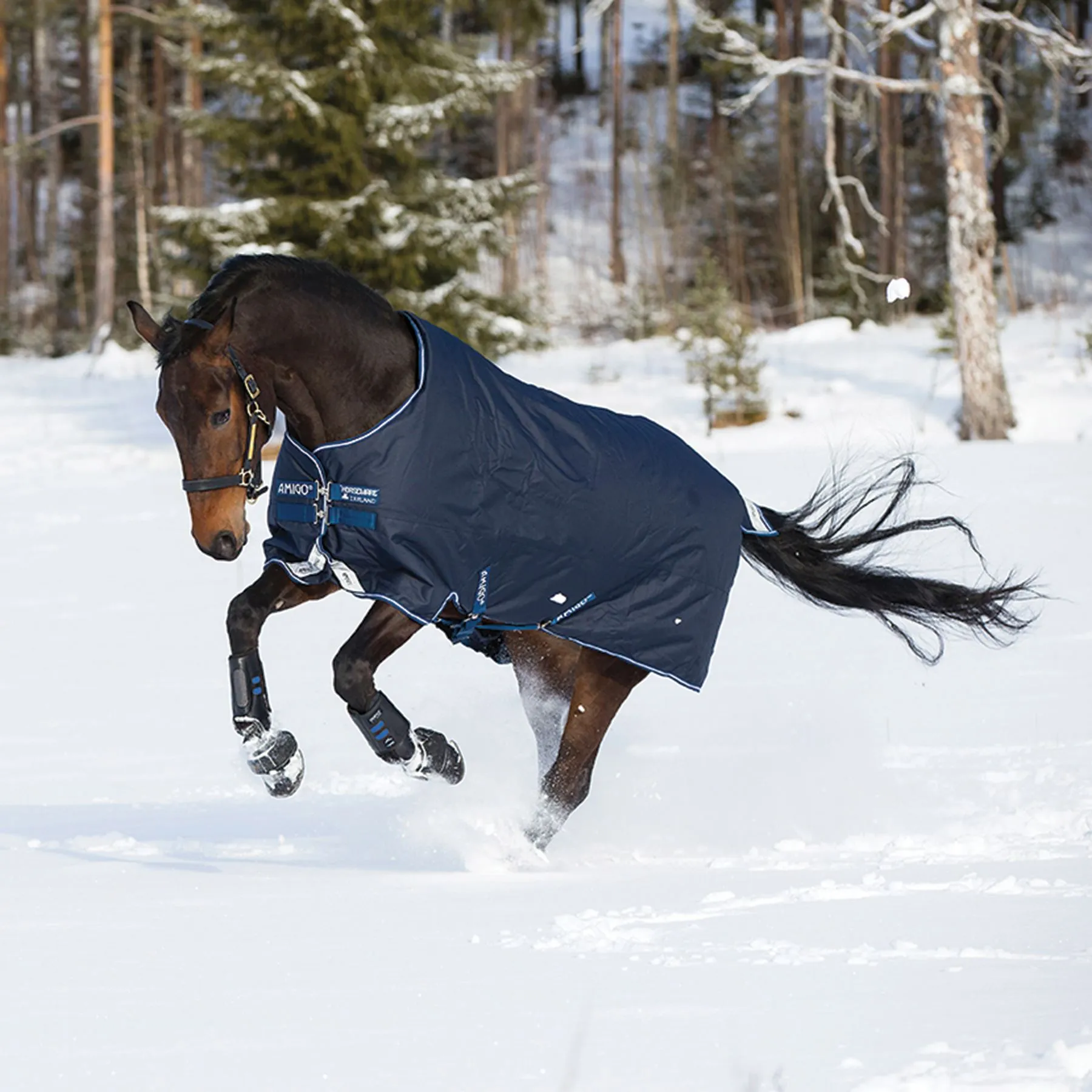 Horseware® Amigo® Bravo 12 Original Heavyweight Turnout Blanket 4 Horseware® Amigo® Bravo 12 Original Heavyweight Turnout Blanket - Image 4