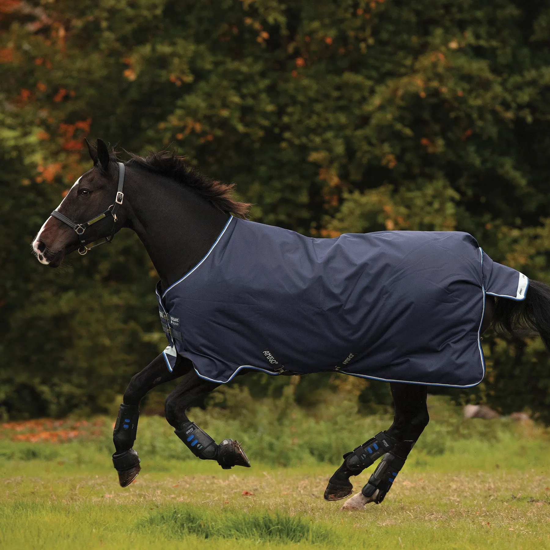 Horseware® Amigo® Bravo 12 Original Medium Weight Turnout Blanket 2 Horseware® Amigo® Bravo 12 Original Medium Weight Turnout Blanket - Image 2