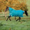 Horseware® Amigo® Bravo 12 Plus Heavyweight Turnout Blanket
