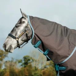 Horseware® Amigo® Bravo 12 Plus Medium Weight Turnout Blanket With Front Disc Closure -Schneiders Shop 40434 alt b