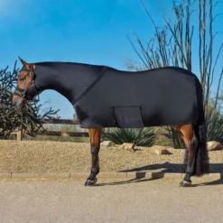 Schneiders Shop -Schneiders Shop 41900 alt a