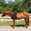 UltraFlex Forelock And Mane Saver Full Zipper Horse Slicker Hood