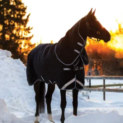 Schneiders Shop -Schneiders Shop 43039 alt a