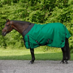 StormShield® Contour Collar SilverTek™ Surcingle 220g Medium Weight Turnout Blanket -Schneiders Shop 44658 green