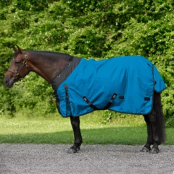 StormShield® Contour Collar SilverTek™ Surcingle 220g Medium Weight Turnout Blanket -Schneiders Shop 44658 royal