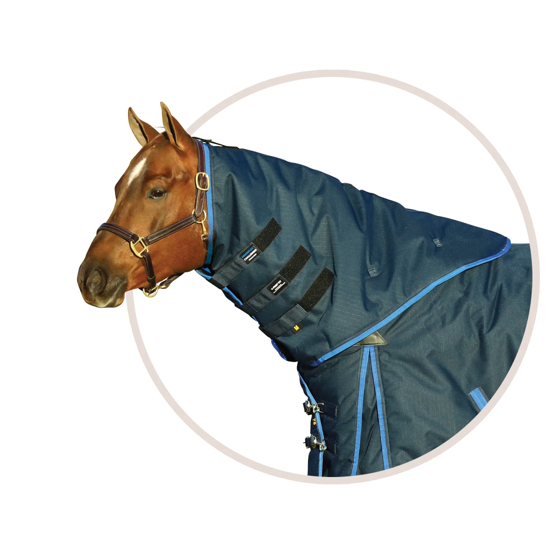 ARMORFlex® Challenger V-Free® Wither Relief 300gsm Light Weight Tekno-Fleece® Turnout Blanket Neck Cover 3 ARMORFlex® Challenger V-Free® Wither Relief 300gsm Light Weight Tekno-Fleece® Turnout Blanket Neck Cover - Image 3
