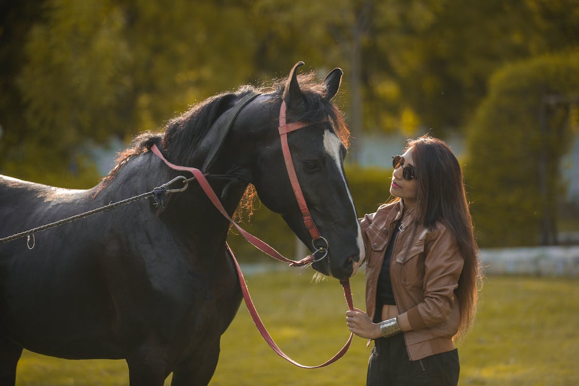 Schneiders Shop -Schneiders Shop pexels photo 7758135